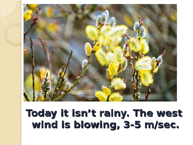 Today it isn’t rainy. The west wind is blowing, 3-5 m/sec. 