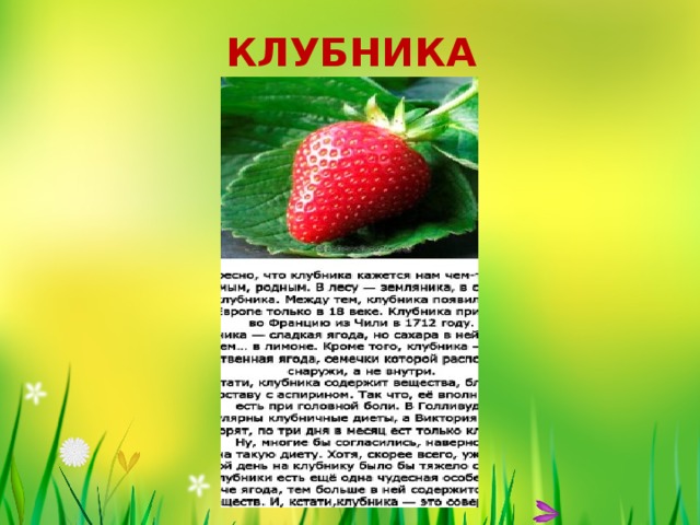 КЛУБНИКА 
