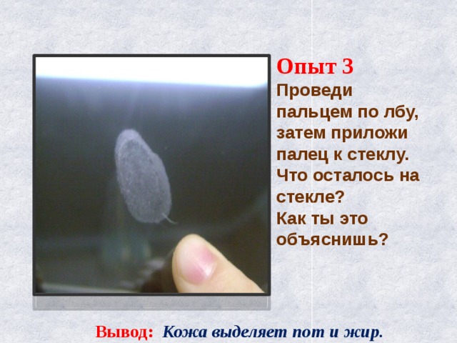  Опыт 3  Проведи пальцем по лбу, затем приложи палец к стеклу. Что осталось на стекле?  Как ты это объяснишь?  Вывод: Кожа выделяет пот и жир .  
