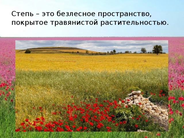 Степь – это безлесное пространство, покрытое травянистой растительностью. 