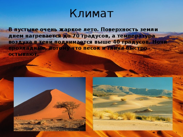 Климат В пустыне очень жаркое лето. Поверхность земли днем нагревается до 70 градусов, а температура воздуха в тени поднимается выше 40 градусов. Ночи прохладные, потому что песок и глина быстро остывают. 