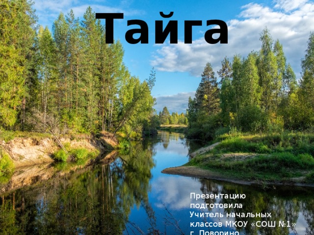 Тайга Презентацию подготовила Учитель начальных классов МКОУ «СОШ №1» г. Поворино Ряхина Вера Анатольевна 
