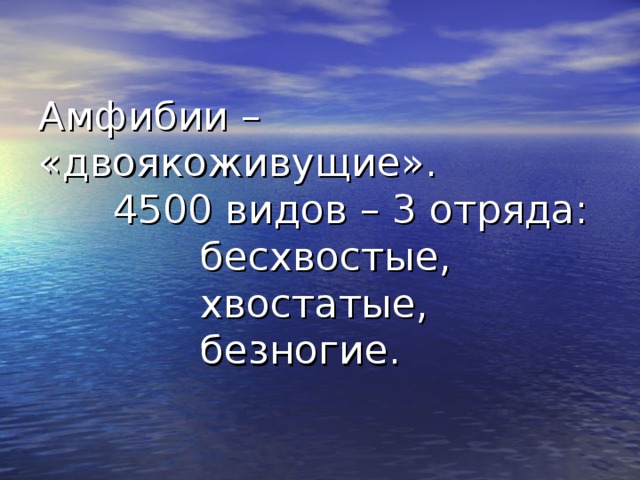 Амфибии – «двоякоживущие».  4500 видов – 3 отряда:  бесхвостые,  хвостатые,  безногие. 