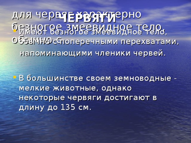 для червяг характерно безногое змеевидное тело, обычно с               ЧЕРВЯГИ Имеют безногое змеевидное тело, обычно с поперечными перехватами,  напоминающими членики червей. В большинстве своем земноводные - мелкие животные, однако некоторые червяги достигают в длину до 135 см. 