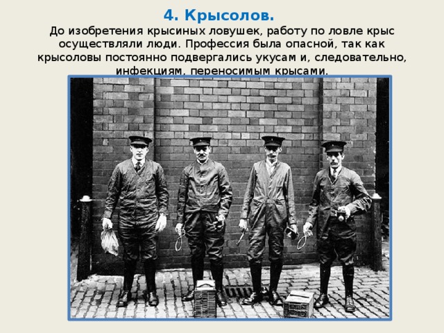 4. Крысолов.  До изобретения крысиных ловушек, работу по ловле крыс осуществляли люди. Профессия была опасной, так как крысоловы постоянно подвергались укусам и, следовательно, инфекциям, переносимым крысами. 