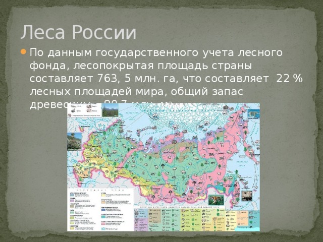 Леса России По данным государственного учета лесного фонда, лесопокрытая площадь страны составляет 763, 5 млн. га, что составляет 22 % лесных площадей мира, общий запас древесины – 80,7 млн. м 3 . 