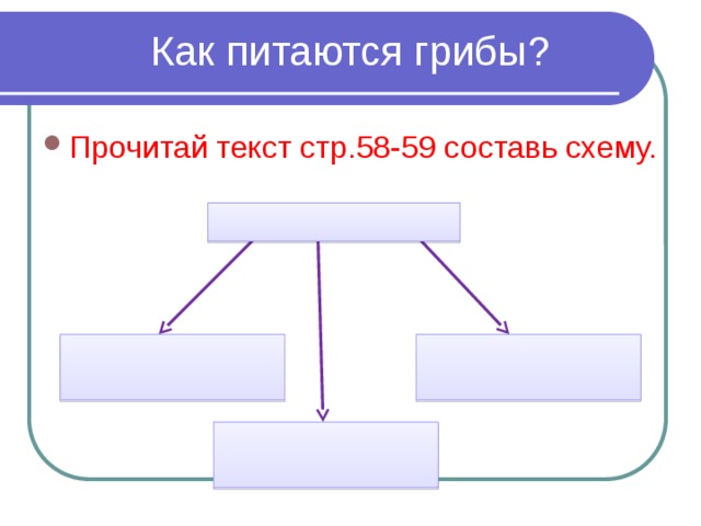 Как питаются грибы? Прочитай текст стр.58-59 составь схему. 
