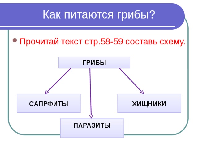 Как питаются грибы? Прочитай текст стр.58-59 составь схему. ГРИБЫ САПРФИТЫ ХИЩНИКИ ПАРАЗИТЫ 