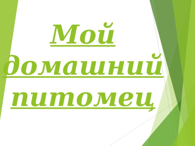 Мой домашний питомец 