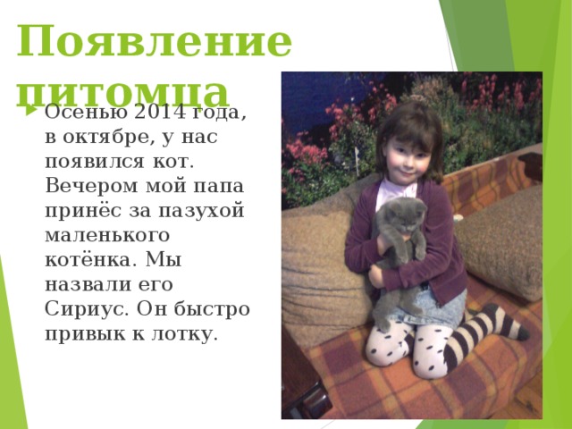 Появление питомца Осенью 2014 года, в октябре, у нас появился кот. Вечером мой папа принёс за пазухой маленького котёнка. Мы назвали его Сириус. Он быстро привык к лотку. 