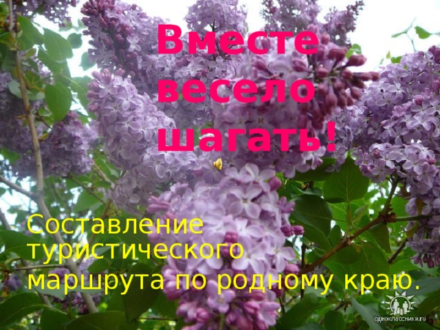 Вместе весело шагать! Составление туристического маршрута по родному краю. 