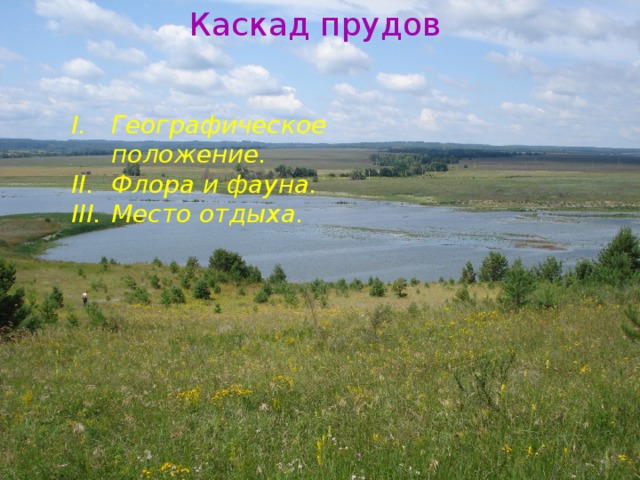 Каскад прудов Географическое положение. Флора и фауна. Место отдыха. 