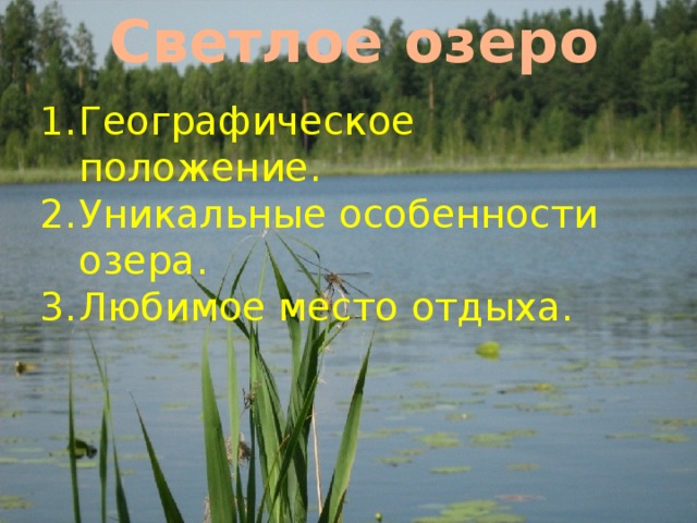 Светлое озеро Географическое положение. Уникальные особенности озера. Любимое место отдыха. 