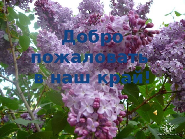 Добро пожаловать в наш край! 