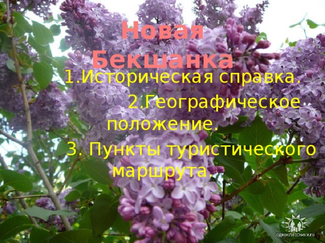 Новая Бекшанка  1.Историческая справка.  2.Географическое положение.  3. Пункты туристического маршрута. 1       