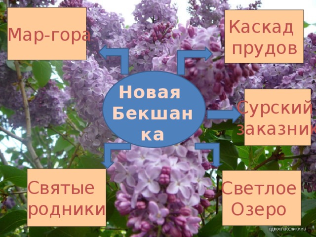  Мар-гора Каскад прудов Новая Бекшанка Сурский заказник Святые родники Светлое Озеро 