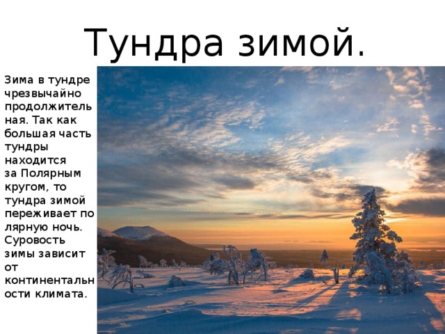 Тундра зимой. Зима в тундре чрезвычайно продолжительная. Так как большая часть тундры находится за Полярным кругом, то тундра зимой переживает полярную ночь. Суровость зимы зависит от континентальности климата. 