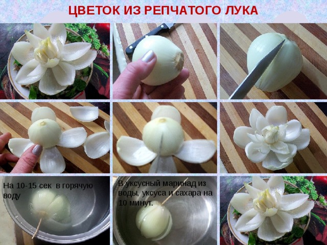 Цветок из репчатого лука 7. Затем помещаем в уксусный маринад из воды, уксуса и сахара (уксус и сахар по вкусу) на 10 минут или более для получения нужного вкуса.  При желании получить окрашенный цветок, в маринад надо добавить пищевой краситель (см. предыдущий рецепт). Вынимаем «цветок» из маринада, слегка стряхиваем жидкость, красиво расправляем лепестки и помещаем на блюдо. В уксусный маринад из воды, уксуса и сахара на 10 минут. На 10-15 сек в горячую воду  
