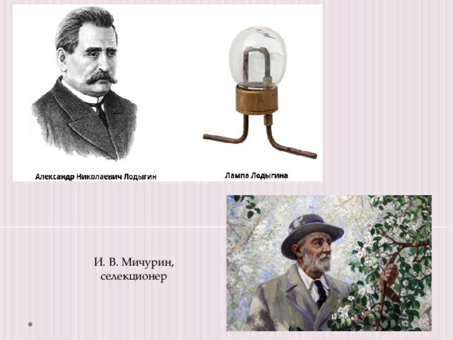 И. В. Мичурин, селекционер 