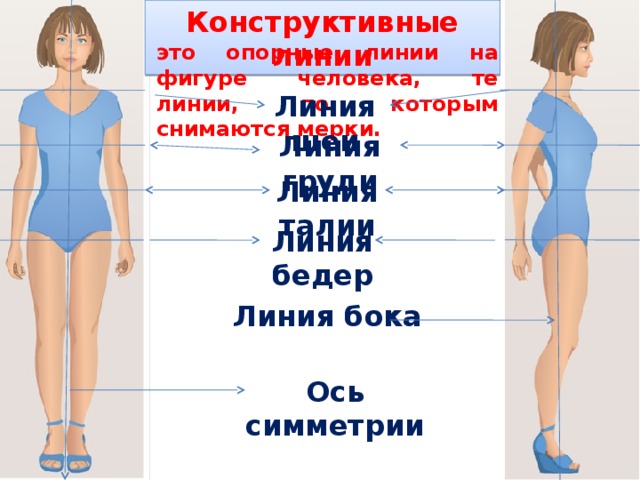 Конструктивные линии это опорные линии на фигуре человека, те линии, по которым снимаются мерки. Линия шеи Линия груди Линия  талии Линия бедер Линия бока Ось симметрии 