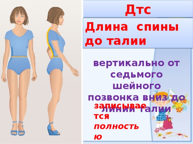 Дтс Длина спины до талии вертикально от седьмого шейного позвонка вниз до линии талии записывается полностью 