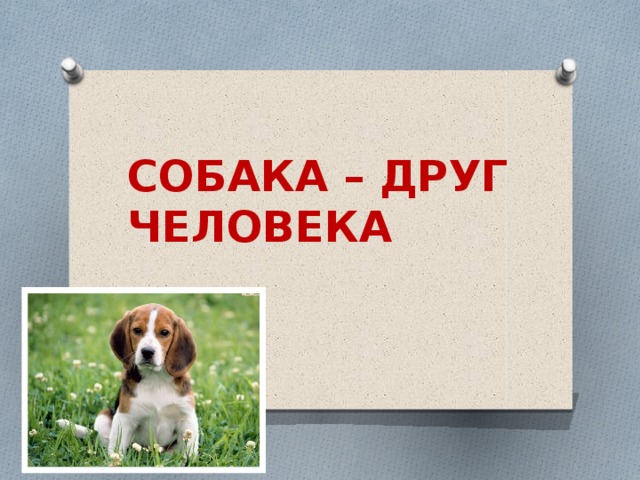 СОБАКА – ДРУГ ЧЕЛОВЕКА 