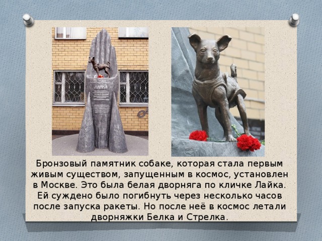 Бронзовый памятник собаке, которая стала первым живым существом, запущенным в космос, установлен в Москве. Это была белая дворняга по кличке Лайка. Ей суждено было погибнуть через несколько часов после запуска ракеты. Но после неё в космос летали дворняжки Белка и Стрелка. 
