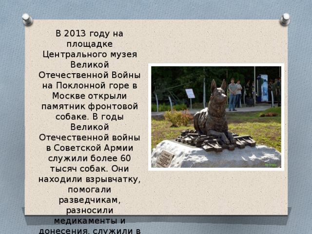 В 2013 году на площадке Центрального музея Великой Отечественной Войны на Поклонной горе в Москве открыли памятник фронтовой собаке. В годы Великой Отечественной войны в Советской Армии служили более 60 тысяч собак. Они находили взрывчатку, помогали разведчикам, разносили медикаменты и донесения, служили в карауле, выполняли и другие воинские задачи. 