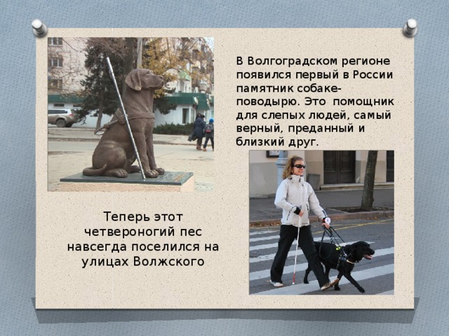 В Волгоградском регионе появился первый в России памятник собаке-поводырю. Это помощник для слепых людей, самый верный, преданный и близкий друг. Теперь этот четвероногий пес навсегда поселился на улицах Волжского 