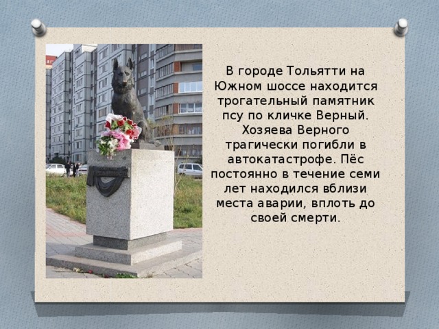 В городе Тольятти на Южном шоссе находится трогательный памятник псу по кличке Верный. Хозяева Верного трагически погибли в автокатастрофе. Пёс постоянно в течение семи лет находился вблизи места аварии, вплоть до своей смерти . 