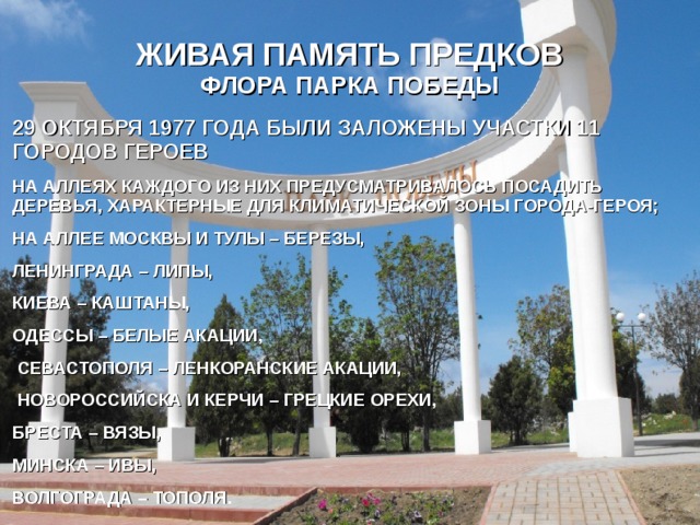 ЖИВАЯ ПАМЯТЬ ПРЕДКОВ  ФЛОРА ПАРКА ПОБЕДЫ 29 ОКТЯБРЯ 1977 ГОДА БЫЛИ ЗАЛОЖЕНЫ УЧАСТКИ 11 ГОРОДОВ ГЕРОЕВ НА АЛЛЕЯХ КАЖДОГО ИЗ НИХ ПРЕДУСМАТРИВАЛОСЬ ПОСАДИТЬ ДЕРЕВЬЯ, ХАРАКТЕРНЫЕ ДЛЯ КЛИМАТИЧЕСКОЙ ЗОНЫ ГОРОДА-ГЕРОЯ; НА АЛЛЕЕ МОСКВЫ И ТУЛЫ – БЕРЕЗЫ, ЛЕНИНГРАДА – ЛИПЫ, КИЕВА – КАШТАНЫ, ОДЕССЫ – БЕЛЫЕ АКАЦИИ,  СЕВАСТОПОЛЯ – ЛЕНКОРАНСКИЕ АКАЦИИ,  НОВОРОССИЙСКА И КЕРЧИ – ГРЕЦКИЕ ОРЕХИ, БРЕСТА – ВЯЗЫ, МИНСКА – ИВЫ, ВОЛГОГРАДА – ТОПОЛЯ. 