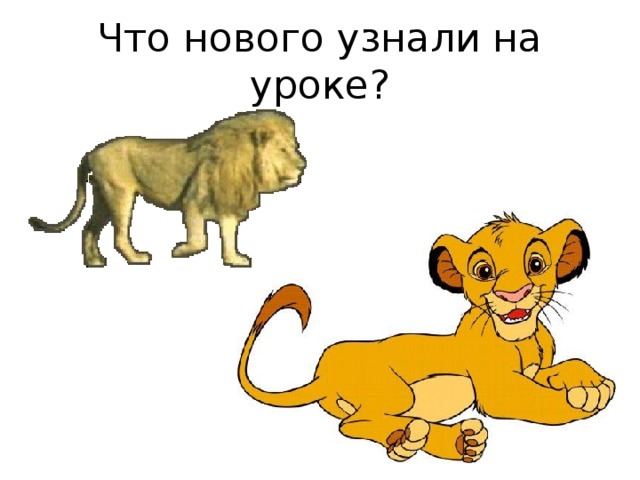 Что нового узнали на уроке? 