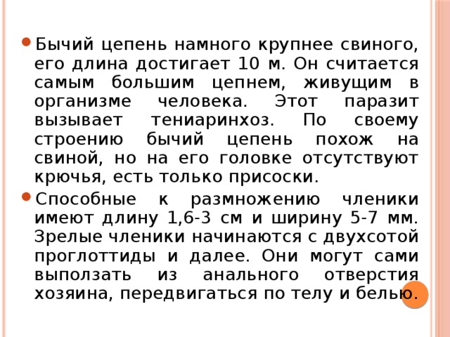 Бычий цепень намного крупнее свиного, его длина достигает 10 м. Он считается самым большим цепнем, живущим в организме человека. Этот паразит вызывает тениаринхоз. По своему строению бычий цепень похож на свиной, но на его головке отсутствуют крючья, есть только присоски. Способные к размножению членики имеют длину 1,6-3 см и ширину 5-7 мм. Зрелые членики начинаются с двухсотой проглоттиды и далее. Они могут сами выползать из анального отверстия хозяина, передвигаться по телу и белью. 