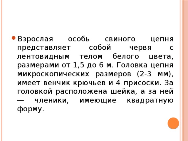 Взрослая особь свиного цепня представляет собой червя с лентовидным телом белого цвета, размерами от 1,5 до 6 м. Головка цепня микроскопических размеров (2-3 мм), имеет венчик крючьев и 4 присоски. За головкой расположена шейка, а за ней — членики, имеющие квадратную форму. 