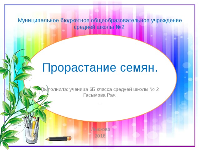 Муниципальное бюджетное общеобразовательное учреждение средней школы №2    Прорастание семян. Выполнила: ученица 6Б класса средней школы № 2 Гасымова Рая. .  Лысково 2018 