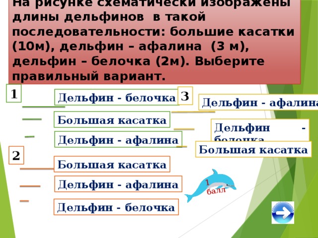 На рисунке схематически изображены длины дельфинов в такой последовательности: большие касатки (10м), дельфин – афалина (3 м), дельфин – белочка (2м). Выберите правильный вариант. 1 балл 1 3 Дельфин - белочка Дельфин - афалина Большая касатка Дельфин - белочка Дельфин - афалина Большая касатка 2 Большая касатка Дельфин - афалина Дельфин - белочка 