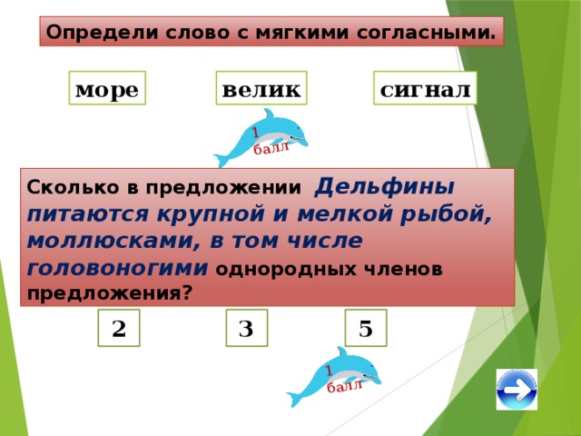 1 балл 1 балл Определи слово с мягкими согласными. море велик сигнал Сколько в предложении  Дельфины питаются крупной и мелкой рыбой, моллюсками, в том числе головоногими  однородных членов предложения? 2 3 5 