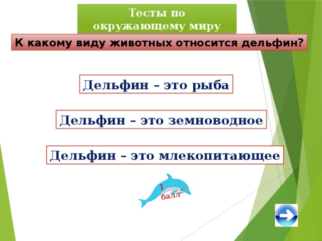 1 балл Тесты по окружающему миру К какому виду животных относится дельфин? Дельфин – это рыба Дельфин – это земноводное Дельфин – это млекопитающее 