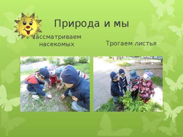 Природа и мы Рассматриваем насекомых Трогаем листья 