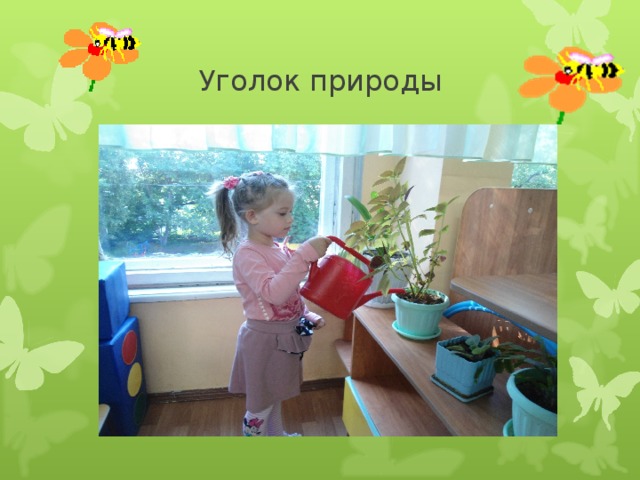 Уголок природы 