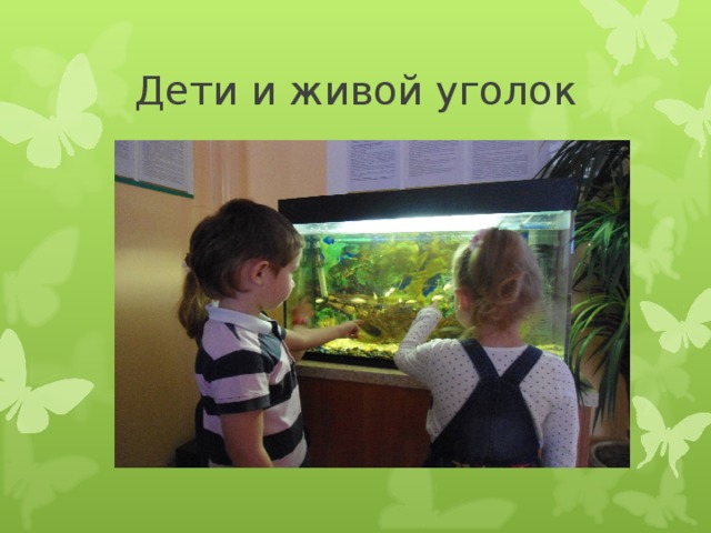 Дети и живой уголок 