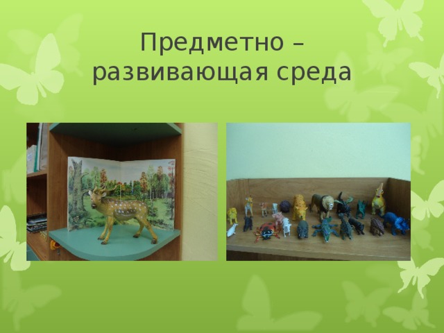 Предметно – развивающая среда 