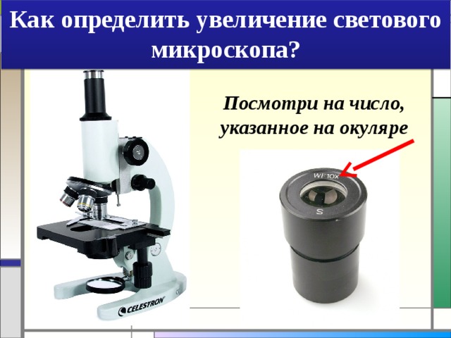 Как определить увеличение светового микроскопа? Посмотри на число, указанное на окуляре 