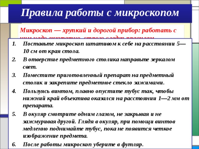 Правила работы с микроскопом Микроскоп — хрупкий и дорогой прибор: работать с ним надо аккуратно, строго следуя правилам. Поставьте микроскоп штативом к себе на расстоянии 5—10 см от края стола. В отверстие предметного столика направьте зеркалом свет. Поместите приготовленный препарат на предметный столик и закрепите предметное стекло зажимами. Пользуясь винтом, плавно опустите тубус так, чтобы нижний край объектива оказался на расстоянии 1—2 мм от препарата. В окуляр смотрите одним глазом, не закрывая и не зажмуривая другой. Глядя в окуляр, при помощи винтов медленно поднимайте тубус, пока не появится четкое изображение предмета. После работы микроскоп уберите в футляр. 