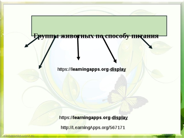 Группы животных по способу питания       https:// learningapps . org › display https:// learningapps . org › display http://LearningApps.org/567171 