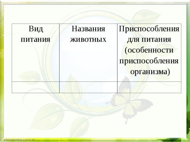 Вид питания Названия животных Приспособления для питания (особенности приспособления организма) 