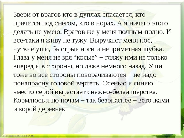 Звери от врагов кто в дуплах спасается, кто прячется под снегом, кто в норах. А я ничего этого делать не умею. Врагов же у меня полным-полно. И все-таки я живу не тужу. Выручают меня нос, чуткие уши, быстрые ноги и неприметная шубка. Глаза у меня не зря “косые” – гляжу ими не только вперед и в стороны, но даже немного назад. Уши тоже во все стороны поворачиваются – не надо понапрасну головой вертеть. Осенью я линяю: вместо серой вырастает снежно-белая шерстка. Кормлюсь я по ночам – так безопаснее – веточками и корой деревьев 