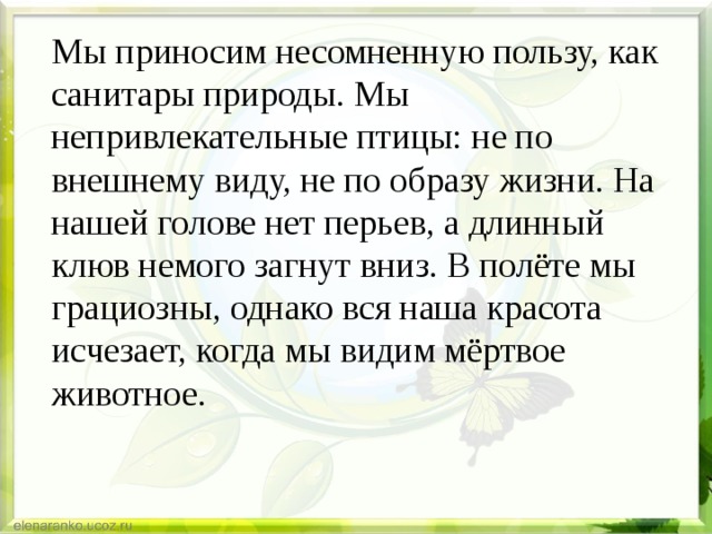 Мы приносим несомненную пользу, как санитары природы. Мы непривлекательные птицы: не по внешнему виду, не по образу жизни. На нашей голове нет перьев, а длинный клюв немого загнут вниз. В полёте мы грациозны, однако вся наша красота исчезает, когда мы видим мёртвое животное. 