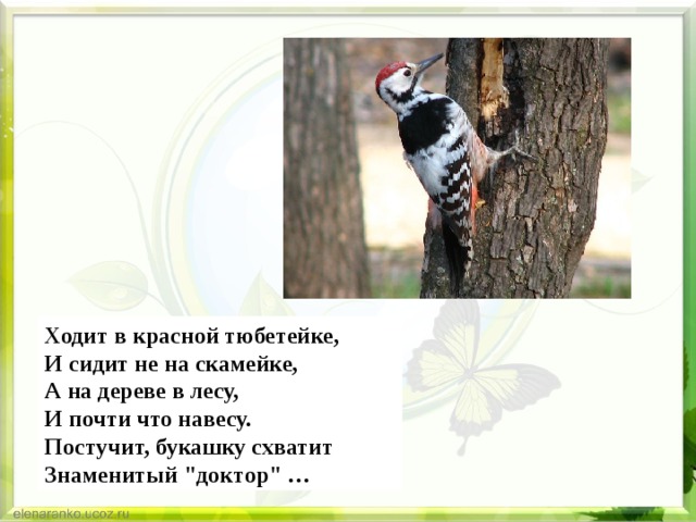 Ходит в красной тюбетейке,  И сидит не на скамейке,   А на дереве в лесу,  И почти что навесу.  Постучит, букашку схватит  Знаменитый 