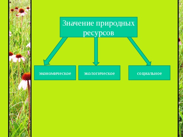 Значение природных ресурсов экономическое экологическое социальное 